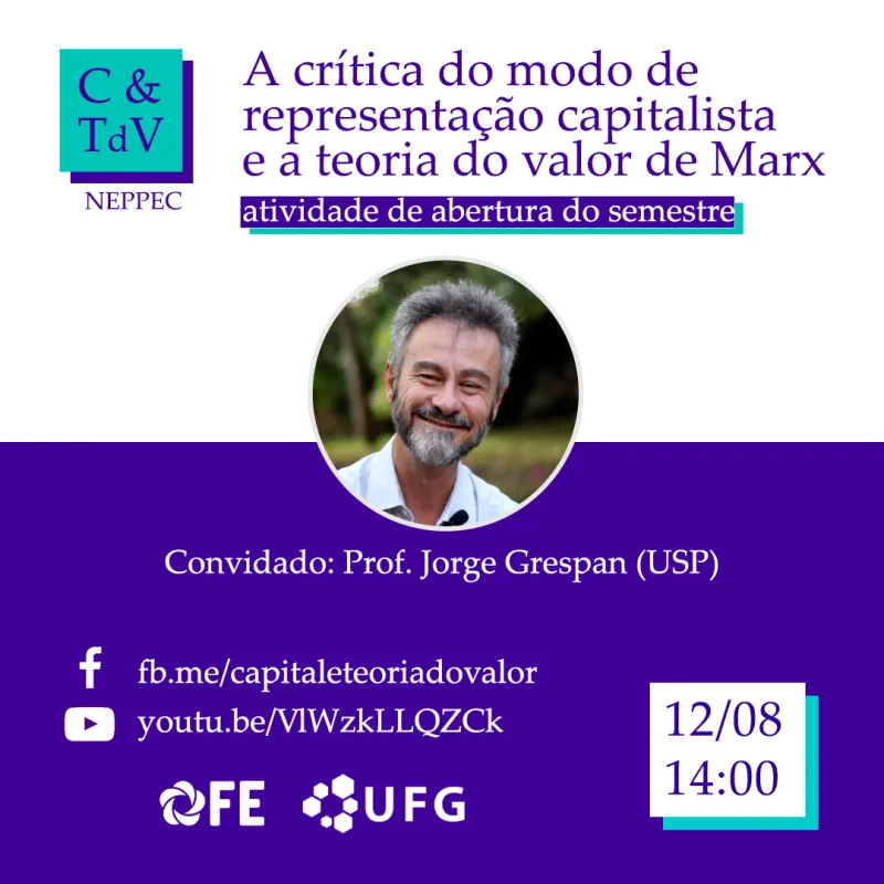 A crítica do modo de representação capitalista e a teoria do valor de Marx
